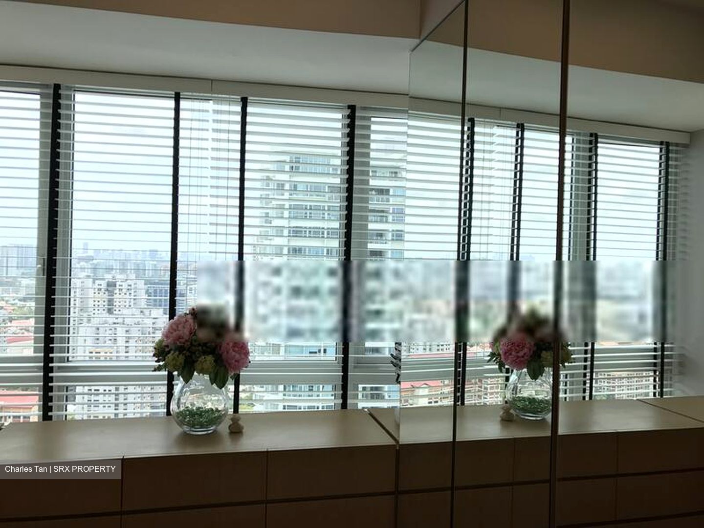 Clover By The Park (D20), Condominium #405277231